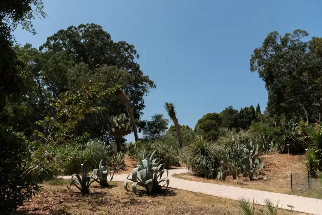 Lokrum botanicki-vrt