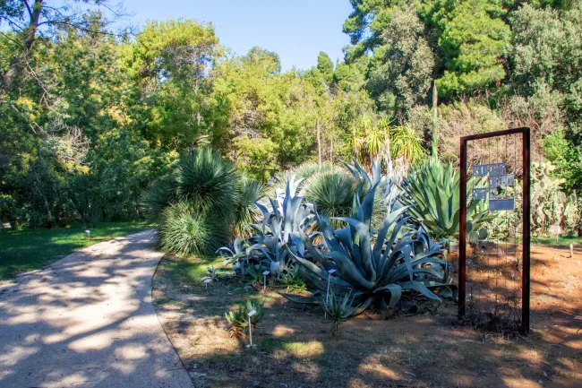 Lokrum botanicki-vrt