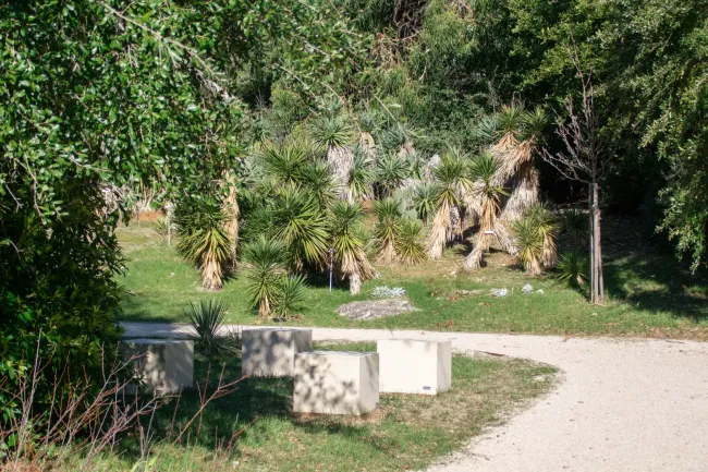 Lokrum botanicki-vrt